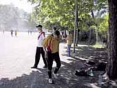 84.jpg